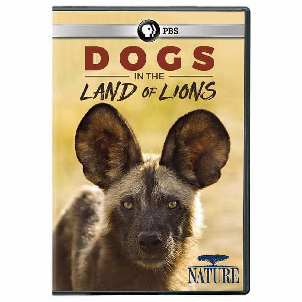 Nature: Dogs in the Land of Lions (DVD), PBS (Direct), Special ...