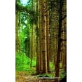 thumbnail image 1 of Nature Drawing Journal: Nature Drawing Journal, (Paperback), 1 of 1