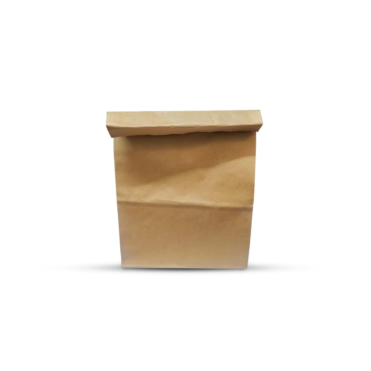 Nature Earth Brown Kraft Paper Bags Pack of 100 for Gift Wrapping ...