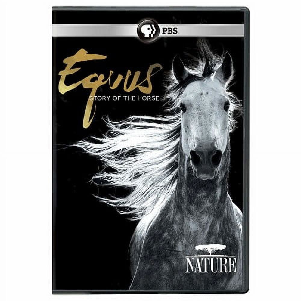 NIOBE THOMPSON Nature: Equus - Story Of The Horse (DVD), PBS (Direct), Documentary
