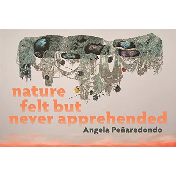 Pre-Owned Nature Felt But Never Apprehended (Paperback) 1955992010 9781955992015