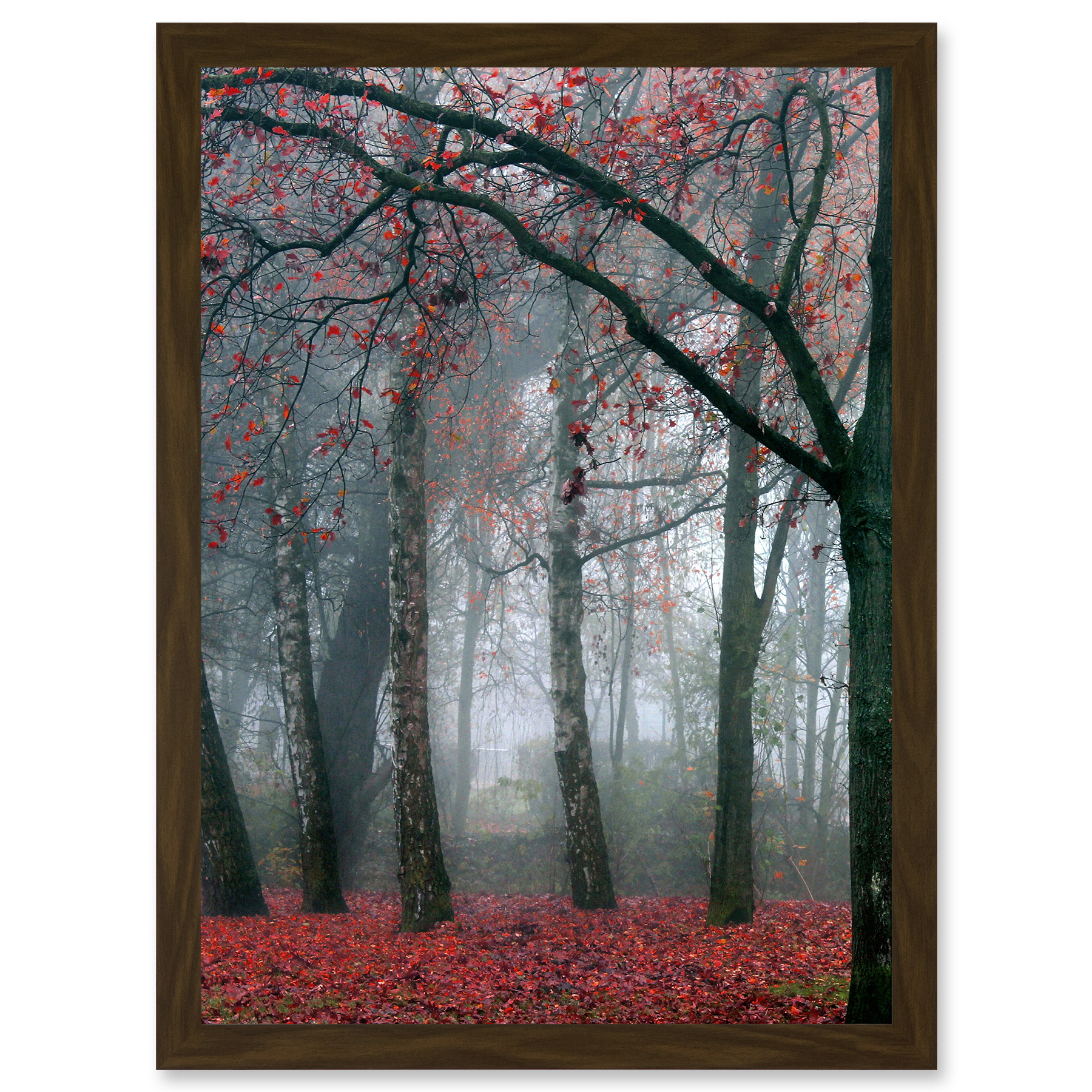 Nature Forest Tree Autumn Fall Beautiful Red A4 Artwork Framed Wall Art ...