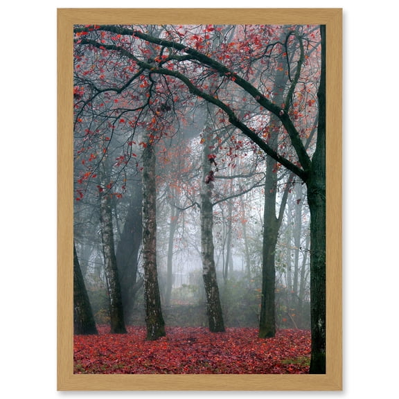 Nature Forest Tree Autumn Fall Beautiful Red A4 Artwork Framed Wall Art Print