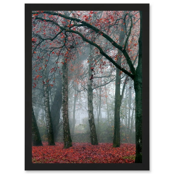 Nature Forest Tree Autumn Fall Beautiful Red A4 Artwork Framed Wall Art Print