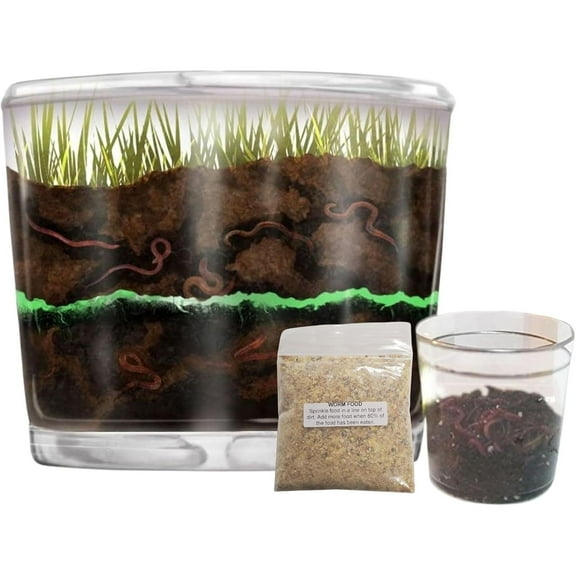 Nature Gift Store Worm Farm Observation Kit with Live Worms and Food Bundle