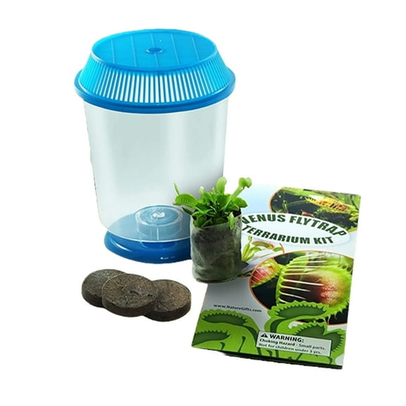 Live Venus Flytrap Kit with Carnivorous Plant Food, Tweezers & 4.5" Blue Terrarium  Indoor Bug-Eating STEM Gift for Kids & Adults Fly Trap