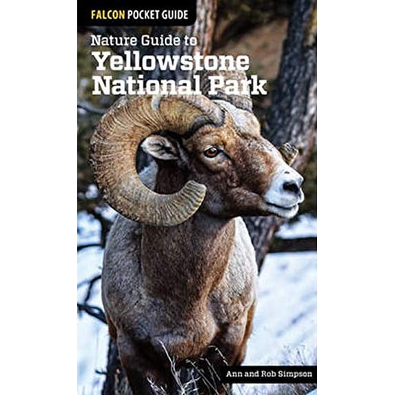 Pre-Owned Nature Guide to Yellowstone National Park (Paperback) 1493009672 9781493009671