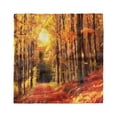 thumbnail image 1 of Nature Head Scarf, Fall Trees at Sunset Woods, Head Wrap, 3 Sizes, by Ambesonne, 1 of 2