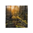 thumbnail image 1 of Nature Head Scarf, Misty Morning Sun Rays, Head Wrap, 3 Sizes, by Ambesonne, 1 of 2