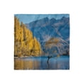 thumbnail image 1 of Nature Head Scarf, Sunken Tree Lake Rural, Head Wrap, 3 Sizes, by Ambesonne, 1 of 2