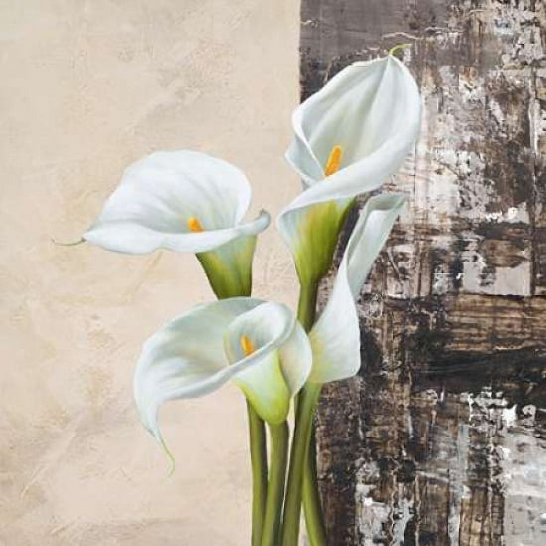 Nature II Canvas Art - Jenny Thomlinson (24 x 24)
