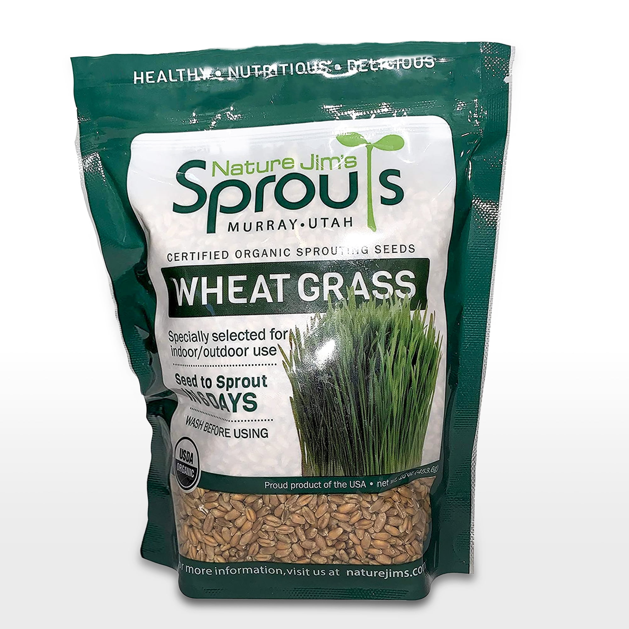 500 Organic CAT GRASS WHEAT Grass Pet Grass Wheatgrass Catgrass Tritic – Seedville USA