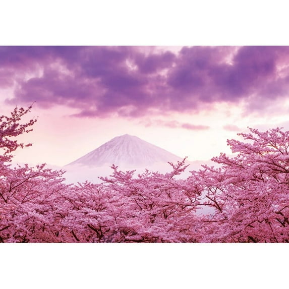 Nature Landscape Backdrop Sunset Evening Sunset Mountains Backpacker Outdoor Travel Scene Home Decor Bedroom Dorm Room Backdrop