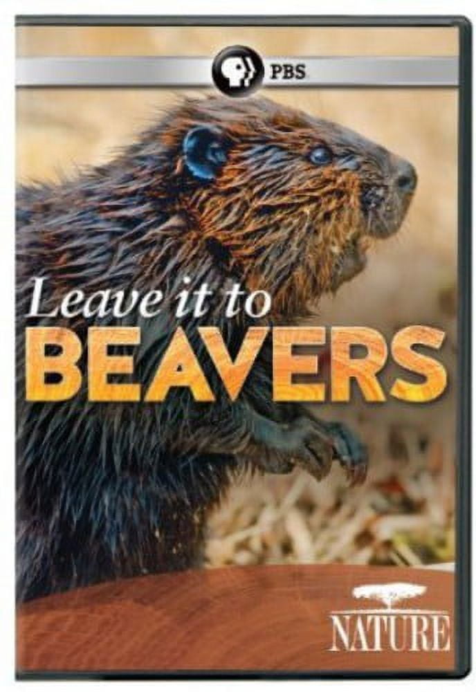 Nature Leave It to Beavers (DVD), PBS (Direct), Special Interests