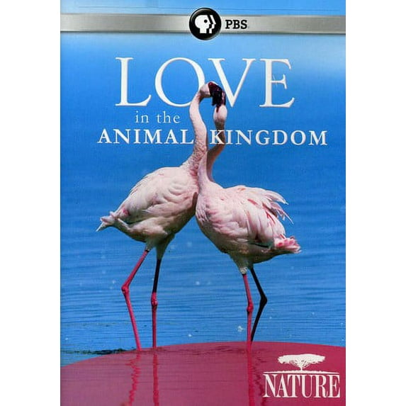 Nature: Love in the Animal Kingdom (DVD)
