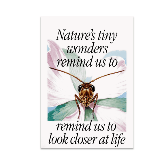 Nature Macro Photography Close-Up Art - Nature Enthusiast - 13x19 Poster Print