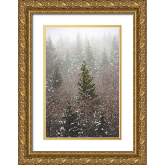 Nature Magick 11x14 Gold Ornate Wood Framed with Double Matting Museum Art Print Titled - Forest Fog Winter Snow