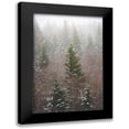 thumbnail image 1 of Nature Magick 17x24 Black Modern Framed Museum Art Print Titled - Forest Fog Winter Snow, 1 of 5