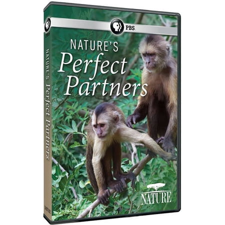 Nature: Nature's Perfect Partners (DVD)