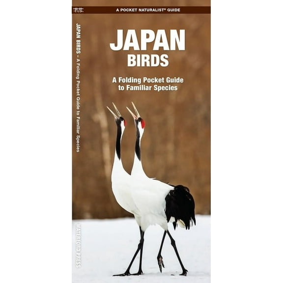 Nature Observation International: Japan Birds (Other)