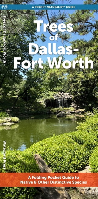Nature Observation North : Dallas-Fort Worth Trees : A Folding Pocket Guide to Native & Other Distinctive Species (Edition 1) (Other)