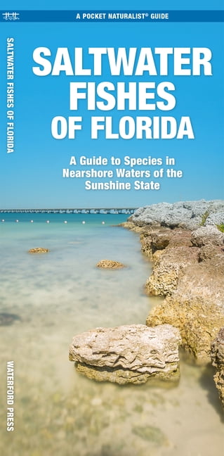 Nature Observation North America: Saltwater Fishes of Florida : A Guide to Species in Nearshore Waters of the Sunshine State (Edition 1) (Other)