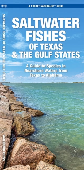 Nature Observation North : Saltwater Fishes of Texas & the Gulf States : A Guide to Species in Nearshore Waters from Texas to Alabama (Edition 1) (Other)