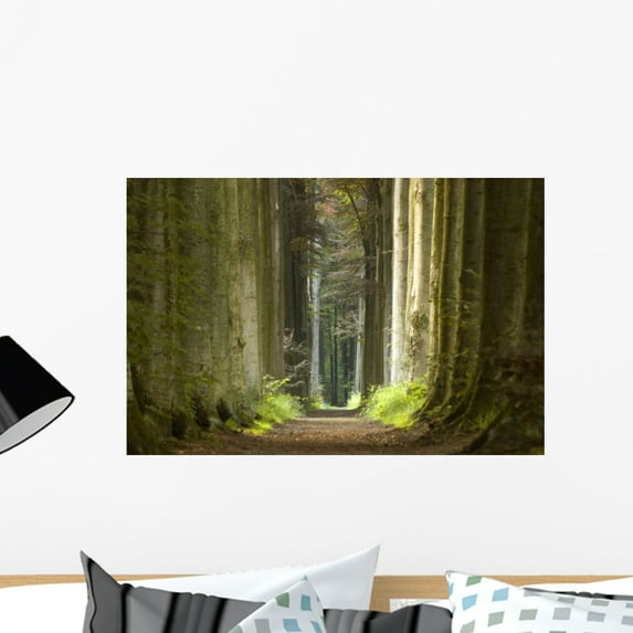 Nature Pathway Wall Mural Decal Sticker, Wallmonkeys Peel & Stick Vinyl Graphic (24 in W x 16 in H)