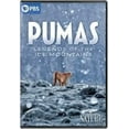 thumbnail image 1 of Nature: Pumas - Legends Of The Ice Mountains, 1 of 1