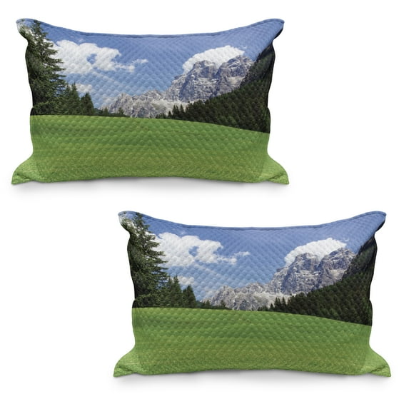 Nature Quilted Pillowcover Set of 2, Picturesque Mountain with Rural Road View of Italian Old Country Modern Print, Standard Queen Size Pillow Cover Bedroom, 36" x 20", Evergreen Blue, by Ambesonne
