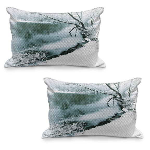 Nature Quilted Pillowcover Set of 2, Winterest with Frozen Snowy Foliage Grass Icy Tree Branches Lake Scenery, Standard Queen Size Pillow Cover Bedroom, 36" x 20", Turquoise White, by Ambesonne