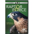 thumbnail image 1 of Nature: Raptor Force (2016) (DVD), 1 of 1