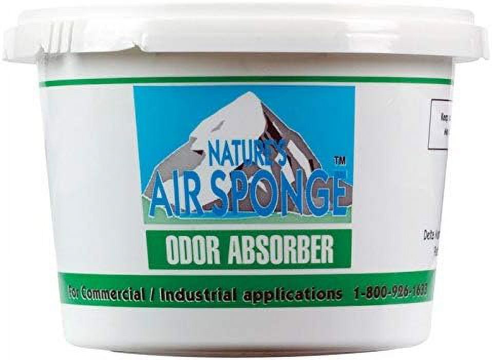 Nature'S Air Sponge Odor Absorber Unscented Plastic Tub 1 Lb.