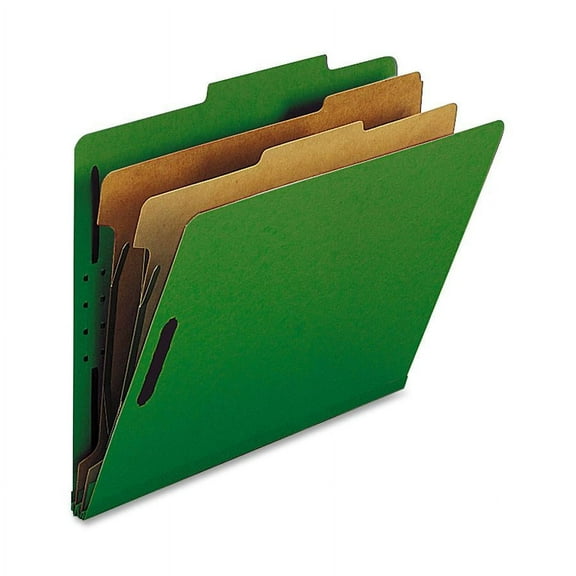 Nature Saver, NATSP17208, 2-divider Letter Classification Folders, 10 / Box, Green