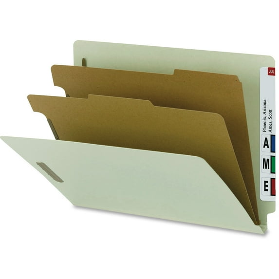 Nature Saver, NATSP17252, 2-divider End Tab Classification Folder, 10 / Box, Gray