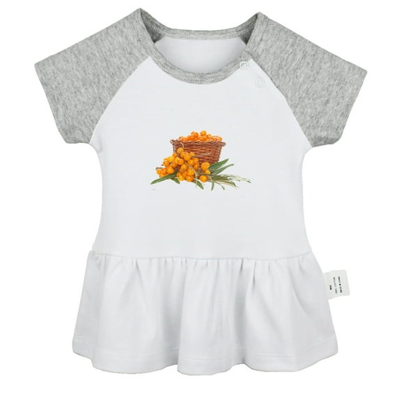 Nature Sea Buckthorn Pattern Dresses For Baby, Newborn Babies Skirts, Infant Princess Dress, 0-24M Kids Graphic Clothes (Gray Raglan Dresses, 0-6 Months)