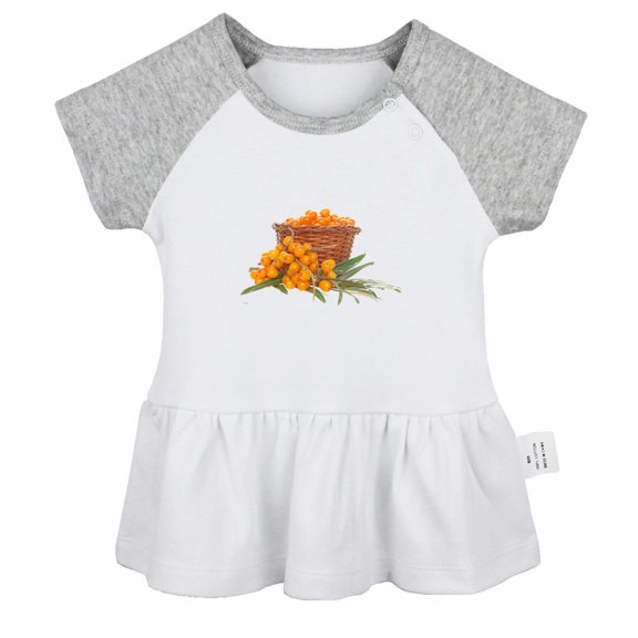 Nature Sea Buckthorn Pattern Dresses For Baby, Newborn Babies Skirts, Infant Princess Dress, 0-24M Kids Graphic Clothes (Gray Raglan Dresses, 6-12 Months)