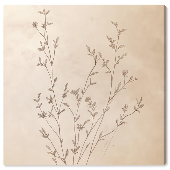Nature Sketchbook Canvas Vintage Botanic Art by Art Remedy, Gallery Wrapped, 20" x 20"