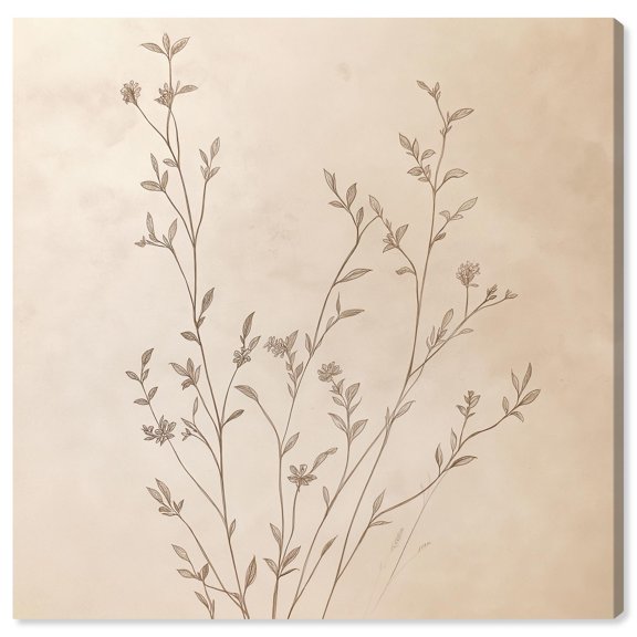 Nature Sketchbook Canvas Vintage Botanic Art by Art Remedy, Gallery Wrapped, 40" x 40"