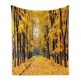 thumbnail image 1 of Nature Soft Flannel Fleece Blanket, Autumn Fall Season Trees Falls Dried Leaves Scenery on Road Path Photo Artwork, Cozy Plush for Indoor and Outdoor Use, 60" x 80", Yellow and Green, by Ambesonne, 1 of 6