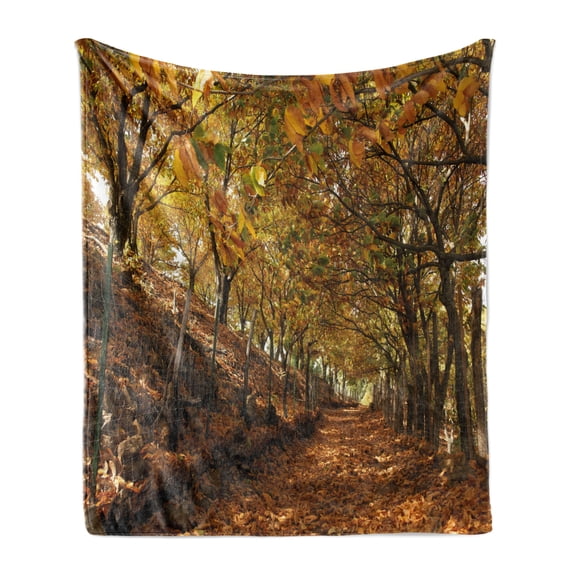 Nature Soft Flannel Fleece Blanket, Autumn Foliage Forest with Deciduous Trees Faded Fall Leaves Surreal Image, Cozy Plush for Indoor and Outdoor Use, 50" x 70", Brown Amber Marigold, by Ambesonne