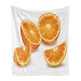 thumbnail image 1 of Nature Soft Flannel Fleece Blanket, Fresh Nature Health Citrus Orange Mediterranean Energetic Fruit Artwork Print, Cozy Plush for Indoor and Outdoor Use, 60" x 80", Orange and White, by Ambesonne, 1 of 5