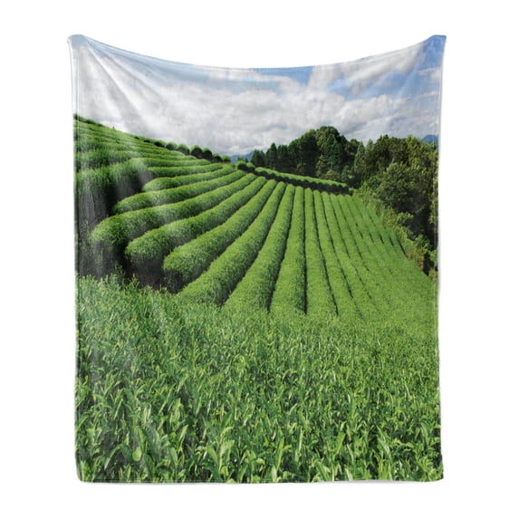 Nature Soft Flannel Fleece Blanket, Landscape Tea Fields Surrounding with Forest Summer Time View Picture Rural Day, Cozy Plush for Indoor and Outdoor Use, 50" x 70", Green and Blue, by Ambesonne