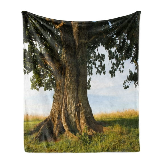 Nature Soft Flannel Fleece Blanket, Majestic Oak Tree on Grass Estonia Northern Europe Rural in Summer Landscape, Cozy Plush for Indoor and Outdoor Use, 70" x 90", Cocoa Fern Green, by Ambesonne