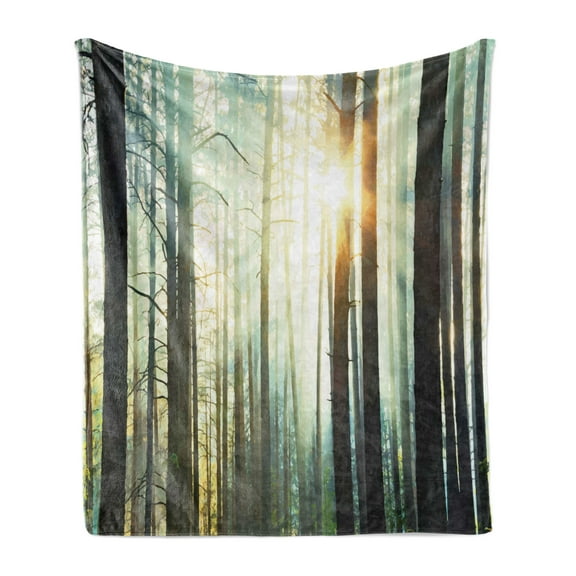 Nature Soft Flannel Fleece Blanket, Mist in the Enchanted Forest with Sunbeams Painting Effect Digital Art Image, Cozy Plush for Indoor and Outdoor Use, 70" x 90", Seafoam Dark Brown, by Ambesonne
