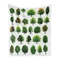 thumbnail image 1 of Nature Soft Flannel Fleece Blanket, Mother Nature Gift Different Types of Trees and Pines Planes Bushes Art Print, Cozy Plush for Indoor and Outdoor Use, 70" x 90", White and Green, by Ambesonne, 1 of 5