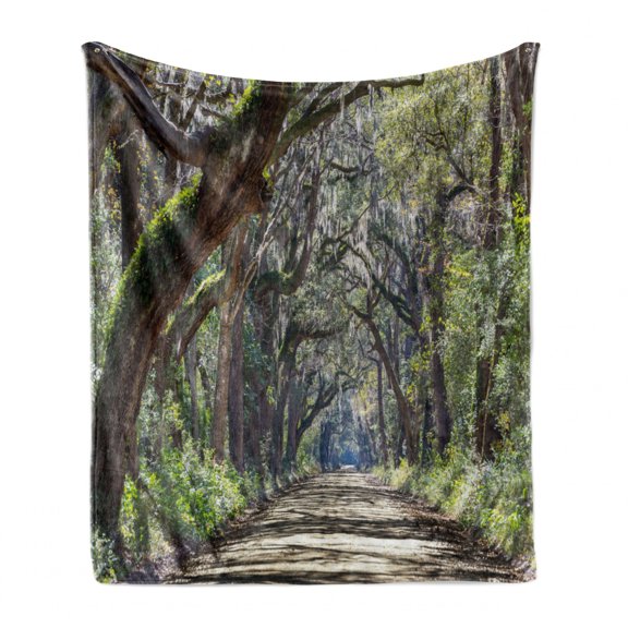 Nature Soft Flannel Fleece Blanket, Road in the Forest with Trees Botany South Carolina National Park Eco Picture, Cozy Plush for Indoor and Outdoor Use, 50" x 60", Fern Green Umber, by Ambesonne