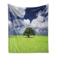 thumbnail image 1 of Nature Soft Flannel Fleece Blanket, Single Old Tree on Wide Grass Field Fluffy Clouds Sunny Summer Day Cloudscape Print, Cozy Plush for Indoor and Outdoor Use, 50" x 70", Green Blue, by Ambesonne, 1 of 5