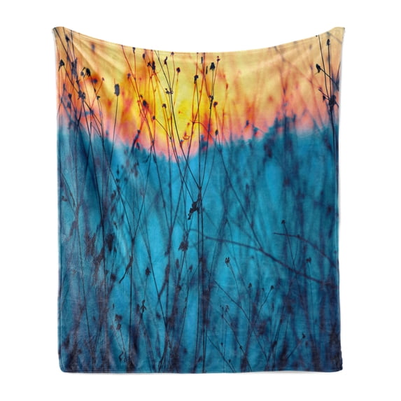 Nature Soft Flannel Fleece Throw Blanket, Dried Flowers Twigs Tranquil Sunset Scenery Agriculture Autumn Field, Cozy Plush for Indoor and Outdoor Use, 70" x 90", Pale Blue Peach Orange, by Ambesonne