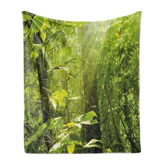 Nature Soft Flannel Fleece Throw Blanket, Forest with Sunray Foliage Leaf Branches Woodland Eco Jungle Misty Picture, Cozy Plush for Indoor and Outdoor Use, 50" x 60", Lime Green Brown, by Ambesonne